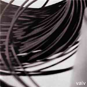 Valv - Ammonite