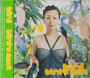 Bird - Bird's Nest
