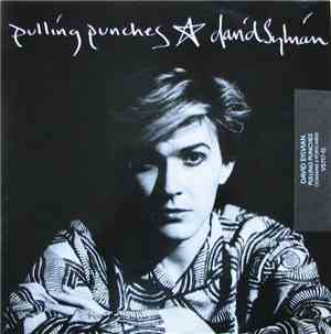 David Sylvian - Pulling Punches