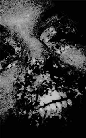 Go As Death - Murderist Intense
