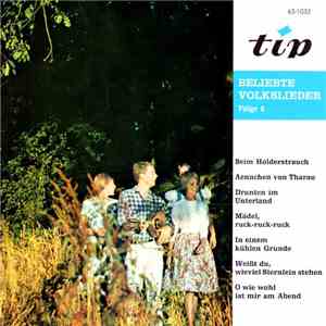 Various - Beliebte Volkslieder - Folge 2