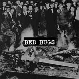 Bed Bugs - Bed Bugs