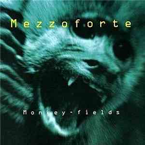 Mezzoforte - Monkey-Fields
