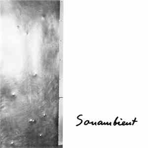 Bertoia - Swift Sounds / Phosphorescence