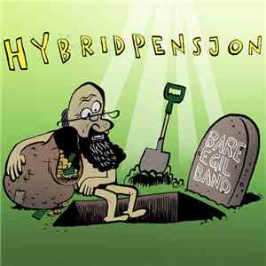 Bare Egil Band - Hybridpensjon