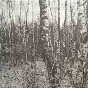 N + Simulacra - Birka