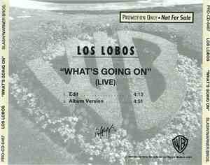 Los Lobos - What's Going On
