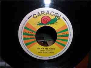Los Zingaros - Se Va Mi Amor / Tu Amor Perdi
