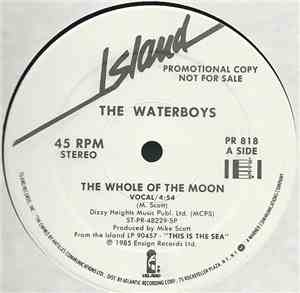 The Waterboys - The Whole Of The Moon