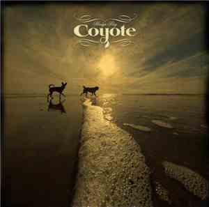 Coyote  - Harlyn Bay