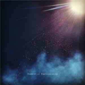 Mat Shoare - Domestic Partnership