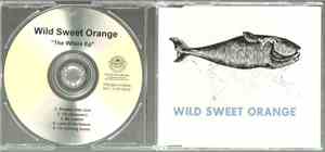 Wild Sweet Orange - The Whale EP
