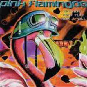 Pink Flamingos  - Nice Boys Don't Play Rock & Roll