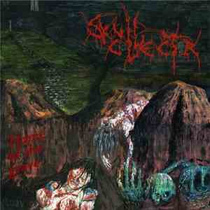 Skull Collector - Home Of The Grave