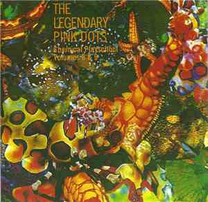 The Legendary Pink Dots - Chemical Playschool 8 & 9