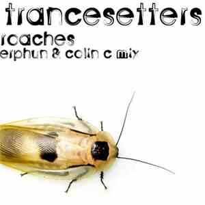Trancesetters - Roaches 2005