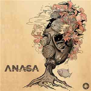 Anasa  - Anasa