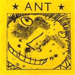 Ant  - Where Happiness Begins