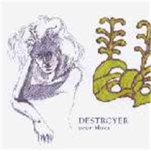 Destroyer  - Your Blues