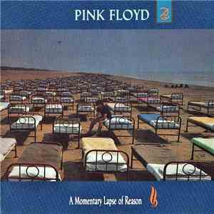 Pink Floyd - A Momentary Lapse Of Reason