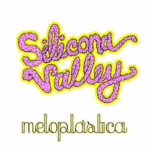 Silicona Valley - Meloplastica