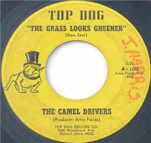 The Camel Drivers - The Grass Looks Greener / It's Gonna Rain