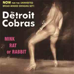 The Detroit Cobras - Mink Rat Or Rabbit