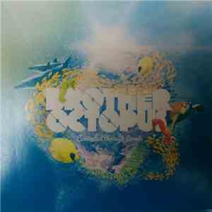 Brother Octopus - Connected Through Corrals