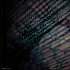 Duane Pitre - Feel Free: Live At Cafe OTO