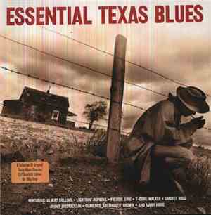 Various - Essential Texas Blues