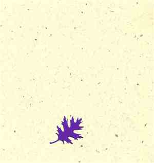 F.S. Blumm - Italian Short Story - 2002