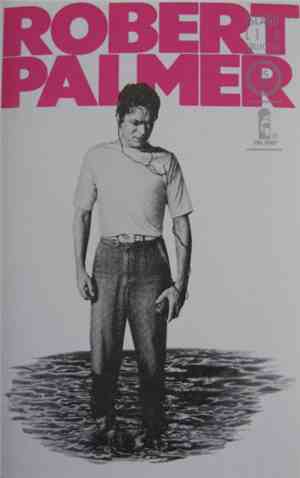 Robert Palmer - Clues