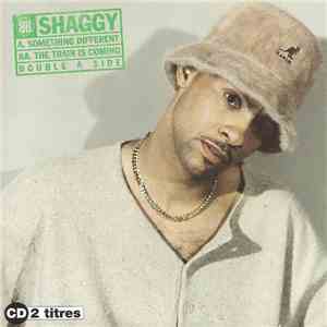 Shaggy - Something Different