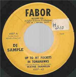 Wayne Shanklin - Up To My Pockets In Tomahawks