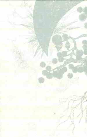 Ikuko Harada - Solo Trilogy Box Set