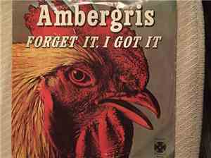 Ambergris  - Forget It, I Got It