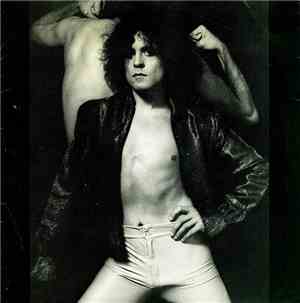 T. Rex - Celebrate Summer