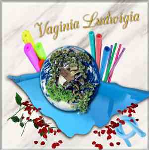 Vaginia Ludwigia - All Answers