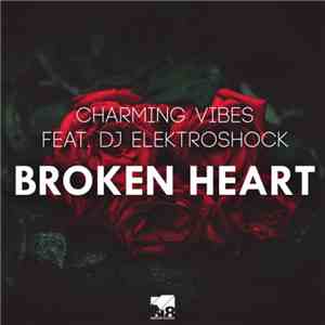 Charming Vibes Feat. DJ Elektroshock - Broken Heart