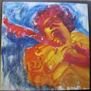 Jimi Hendrix - The Jimi Hendrix Concerts