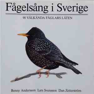 No Artist - Fågelsång I Sverige