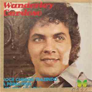 Wanderley Cardoso - Você Chegou Trazendo A Primavera / Meu Bem, My Love