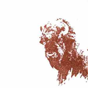 Daniel Menche - For The Beasts