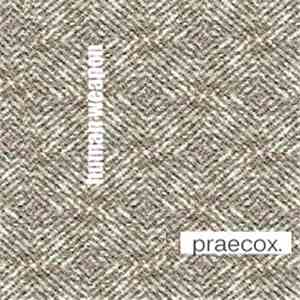 Human Weapon - Praecox
