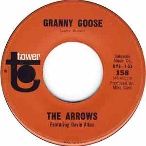 The Arrows Featuring Davie Allan - Granny Goose / Space Hop