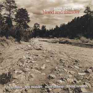 Aaron Irwin Group - Blood And Thunder