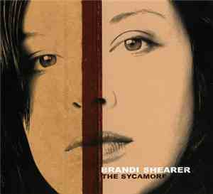 Brandi Shearer - The Sycamore