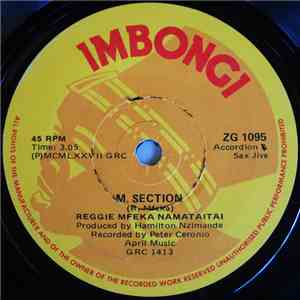 Reggie Mfeka Namataitai - M. Section / Kahle Ngubevu