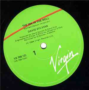 David Sylvian - The Ink In The Well