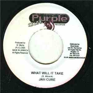 Jah Cure - What Will It Take